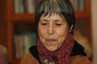 Cecilia Vicuna