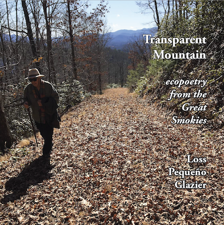 Transparent Mountain front cover