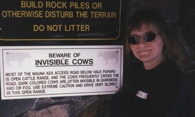 Invisible Cows